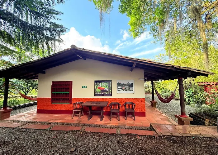 Galicia, Cabana Junto A Un Bosque Y A Cascada
